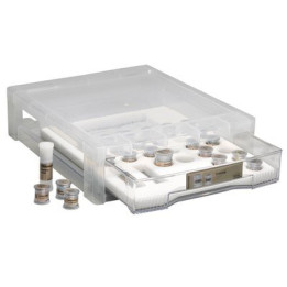 IPS Ivocolor Essence Kit