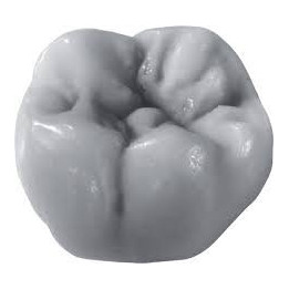 Dentaurum Star Wax CB wosk na korony 50g szary 120-203-00