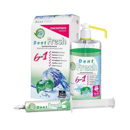 Dent Fresh Mint - zestaw startowy