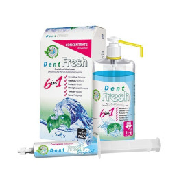 Dent Fresh Original - zestaw startowy