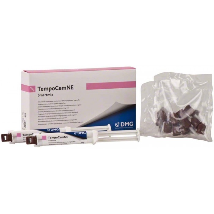 TEMPOCEM NE SMARTMIX 2x11g