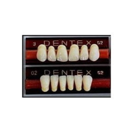 Zęby Dentex / AmberLux przednie 6szt. LEGENDARNA PROMOCJA