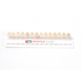 Klornik Dentex