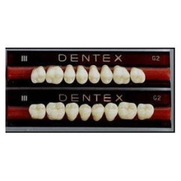 Zęby Dentex / AmberLux boczne 8szt. LEGENDARNA PROMOCJA