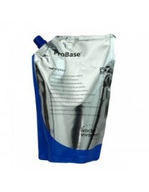 Probase Cold Polymer 500g