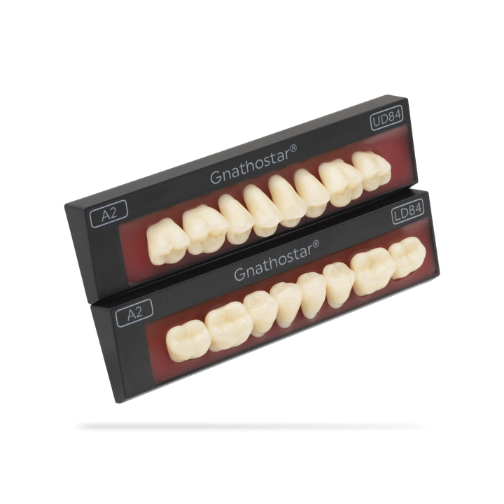 Zęby Gnathostar Set of 8 Bleach - do zębów wybielanych