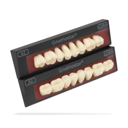 Zęby Gnathostar Set of 8 A-D Promocja!