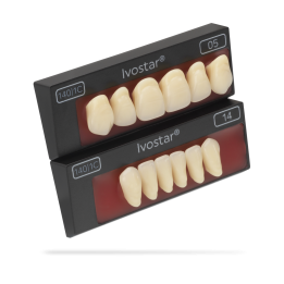 Zęby Ivostar Set of 6 A-D Promocja!