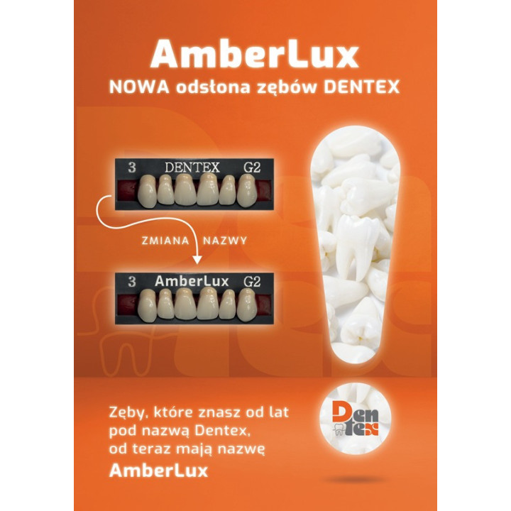 Zęby Dentex / AmberLux przednie 6szt. LEGENDARNA PROMOCJA